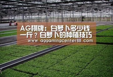 AG棋牌：白萝卜多少钱一斤？白萝卜的种植技巧有哪些？