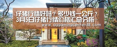 仔猪行情好吗？多少钱一公斤？3月5日仔猪行情价格汇总分析-AG入口