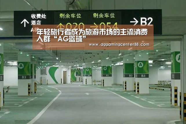 年轻旅行者成为旅游市场的主流消费人群“AG篮球”(图2) AG百家乐