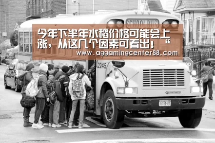 今年下半年水稻价格可能会上涨，从这几个因素可看出！“AG入口”