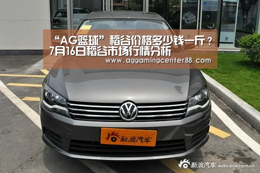 “AG篮球”稻谷价格多少钱一斤？7月16日稻谷市场行情分析