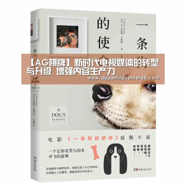 【AG棋牌】新时代电视媒体的转型与升级 增强内容生产力